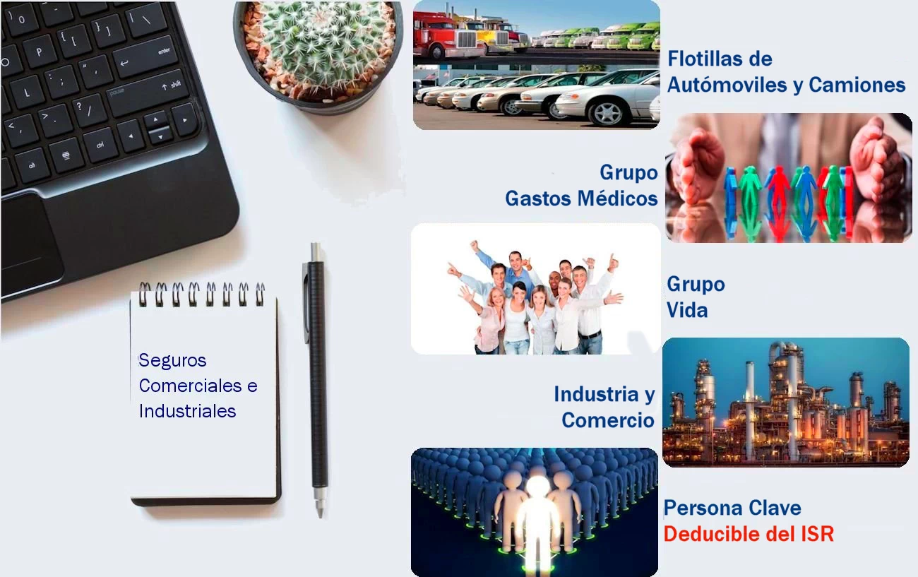 Opciones de Seguros Comerciales y Empresariales
