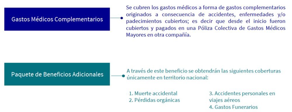 Seguro Grupo de Gastos Médicos Mayores - Coberturas adicionales con costo