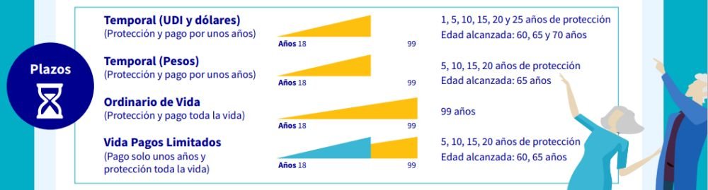 AXA Seguros de vida individual ProTGT